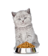 Kitten sits with bowl of dry food for pets. isolated on white background