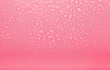 Drops of water on a color background. Selective focus. Pink