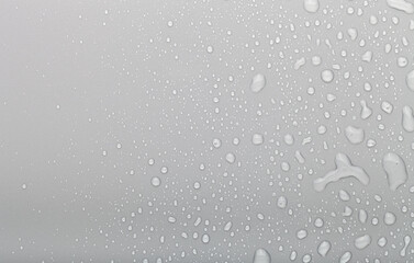 Drops of water on a color background. Grey
