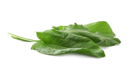 Fresh green sorrel leaves on white background