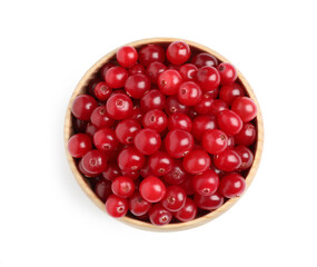 Fresh ripe cranberries in bowl isolated on white, top view