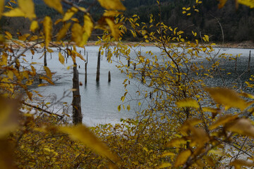 Suluklu Lake is in the district of Bolu in Turkey. ( Autumn lake view ) Camping area available.