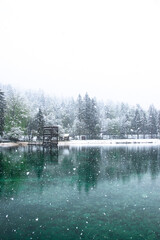 Lake Jasne in Slovenia. Snowy and cold morning in May 2019. Snow landscape of the lake. Snow on top of trees. Popular tourist destination. Slovenia