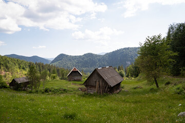 Apuseni mountains on summertime
