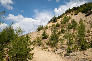 Apuseni mountains on summertime