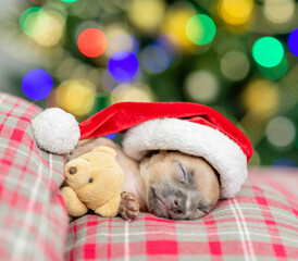 Fototapeta na wymiar Close up tiny Toy terrier puppy wearing a santa hat hugs toy bear and sleeps on pillow under blanket on festive Christmas background