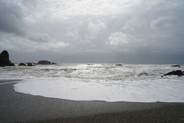 Tasman sea