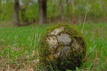 ball on the grass