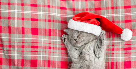 Gray kitten wearing red santa's hat sleeps on checkered or tartan blanket on a bed. Top down view....