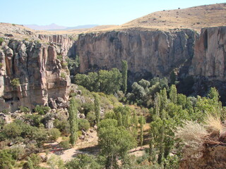 Landscape of dense vegetation on stony ground at the foot of the impregnable rocks of the canyon under the rays of the autumn sun.