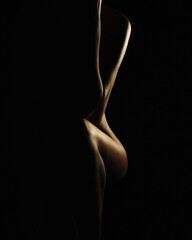 Sexy body nude woman. Naked sensual beautiful girl