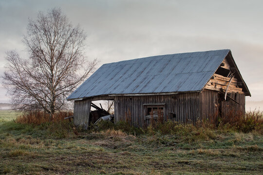 Abandoned Barn House On The Misty Fields