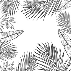 Tropical leaves vector border. Hand drawn eps 10 vector illustration.