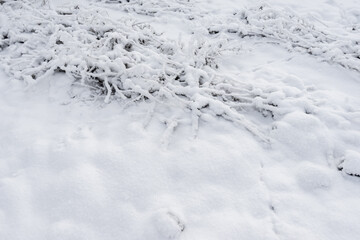 Detailed view of the snow-covered dug up ground in winter. natural winter texture ground