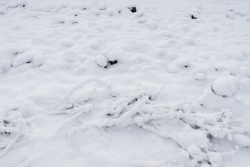 Detailed view of the snow-covered dug up ground in winter. natural winter texture ground