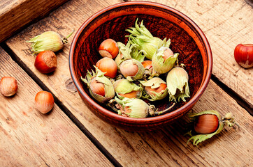 Hazelnuts in the husk