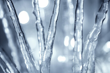 close up shiny winter icicles