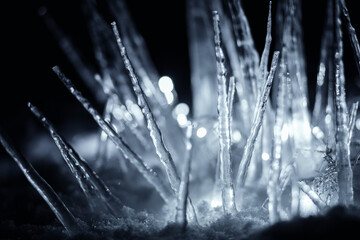 crystal winter icicles in snow in dark