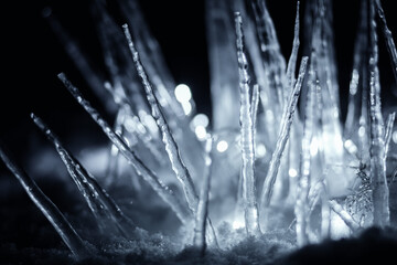 Obraz premium crystal winter icicles in snow in dark