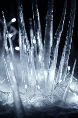 winter illuminated icicles standing in snow