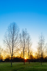 Fototapeta premium The sun going down on the field at the end of autumn season.