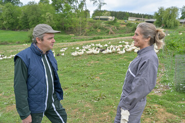 Farmer couple discussing about the free breeding of their ducks in the countryside .