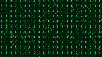 Random green letters and numbers for network security or hacker themes.
 - Powered by Adobe