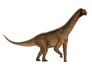 Fototapeta premium Mesiasaurus dinosaur walking isolated in white background - 3D render