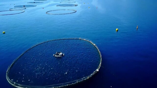 Flight over a tuna farm in the Adriatic Sea near the island of Ugljan by the city of Zadar 4K