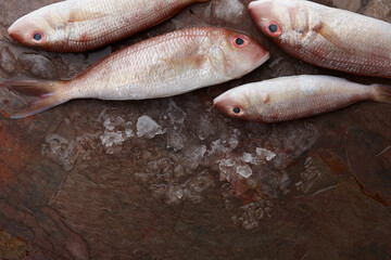 Fresh red mullet fish on stone background, top view