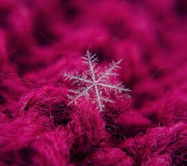 Snowflake beautifull on the colorful background macro