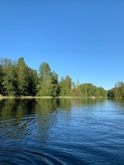 Fototapeta na wymiar Trees on the lake