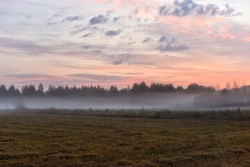 An early, gentle morning in the fields with the harvest. Mown grass and fog over the field.