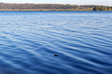 Le lac de Vico en Italie par une belle journée d'automne ensoleillée