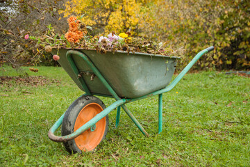 Garden steel robust wheelbarrow with garden garbage. Concept preparing garden for winter season