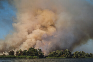 Large clouds of smoke, fire in nature.