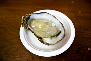 Close up of oyster