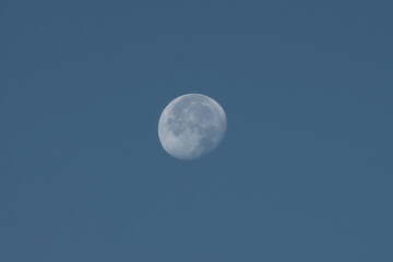 Moon close-up in the morning in a blue sky, isolated