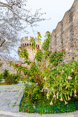 The Palace of the Grand Master of the Knights of Rhodes 