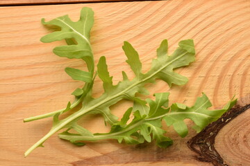 Fresh arugula, close-up, on a wooden table.