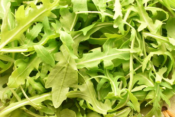 Fototapeta premium Natural fresh green arugula, close-up.