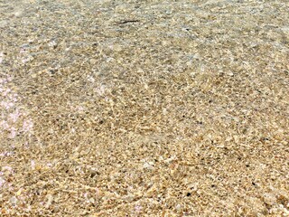 キラキラと光る水面
