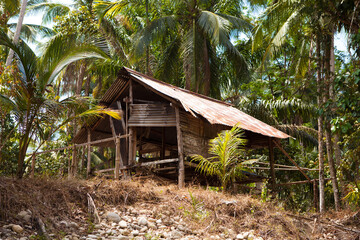 Very old ruined hut in a palm forest in Thailand
