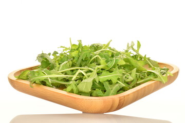 Fresh green arugula, close-up, isolated on white.