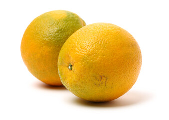 Orange fruit on the white background