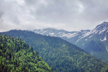 Trio of fragments of the Abkhazian mountains