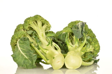 Green organic not cooked broccoli, close-up, over white plate.