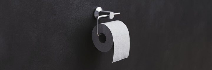 Toilettenpapierhalter mit weißem Klopapier an Wand