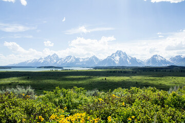 meadow and mountains