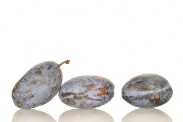 Several ripe organic Damson plums, close-up, isolated on white.